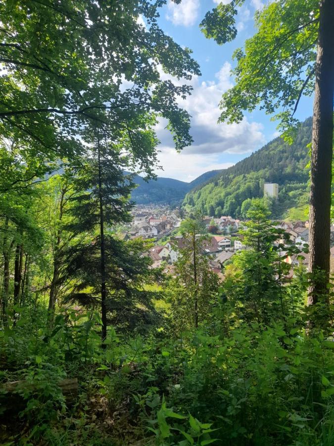 Ferienwohnung Am Enzufer Mit Balkon In Bad Wildbad Im Schwarzwald Bagian luar foto